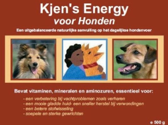 KJEN's® Energy Supplement - 500 gram
