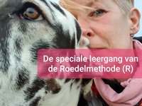 EEN BIJZONDERE REIS... EEN BIJZONDERE REIS...
