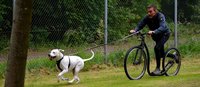 Workshop Stepjoring op 16-06-2018 Workshop Stepjoring op 16-06-2018