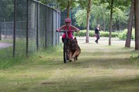 Workshop Stepjoring 16-06-2018 Workshop Stepjoring 16-06-2018